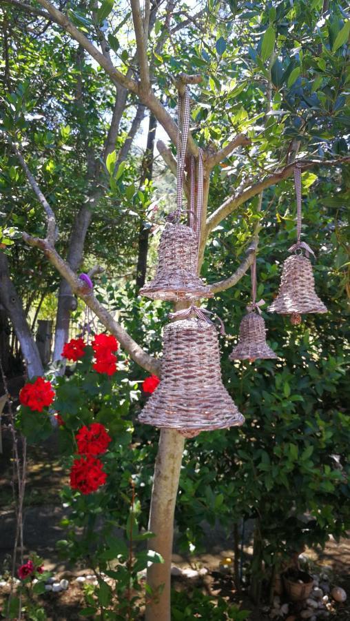 Garden Bungalow Valentina Stavros  Luaran gambar