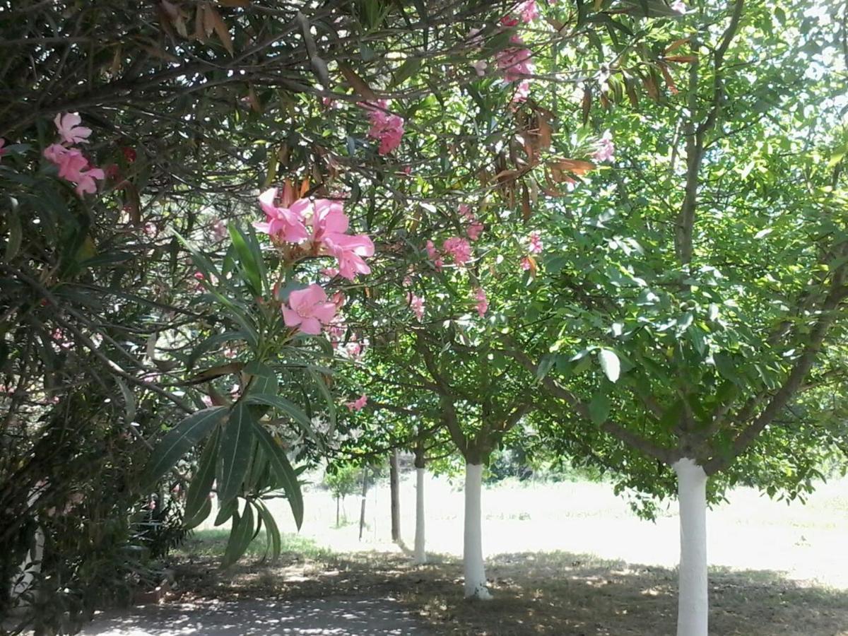 Garden Bungalow Valentina Villa Stavros  Luaran gambar