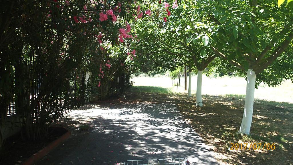 Garden Bungalow Valentina Stavros  Luaran gambar